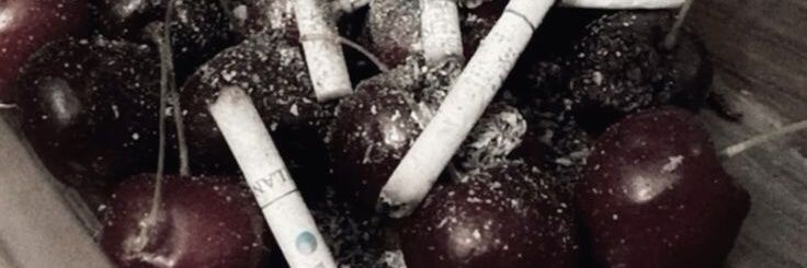 ٠࣪⭑𝖑𝖎٠࣪⭑ banner