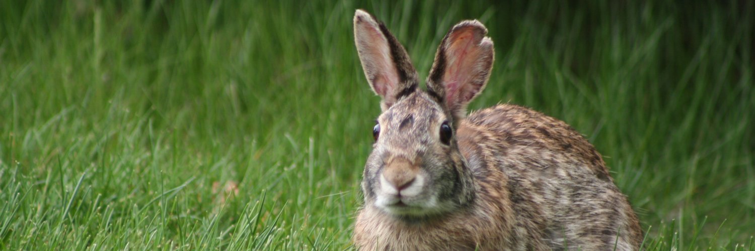 Bio-*logical* adult human female banner