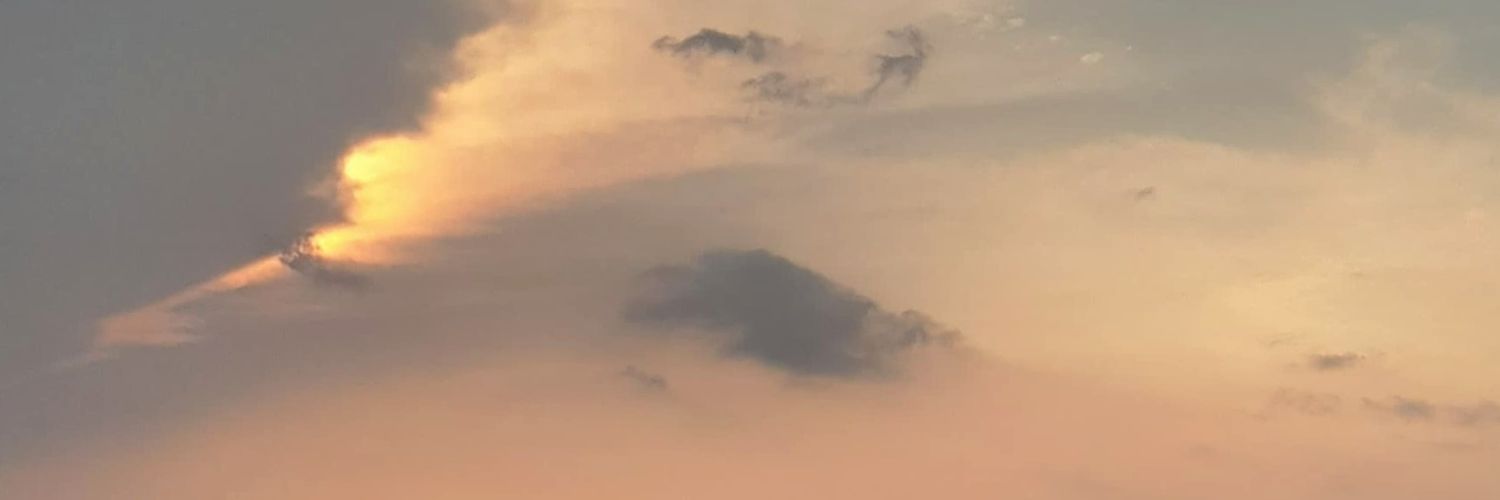 louna ᡣ𐭩 banner