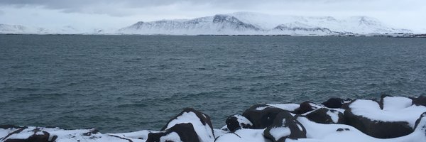 Artur_Simonian Profile Banner