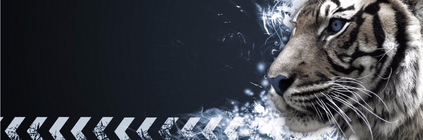 Wild_Rare's profile banner image