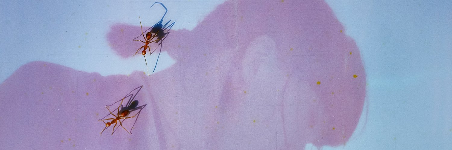 lu ✮⋆˙'s banner
