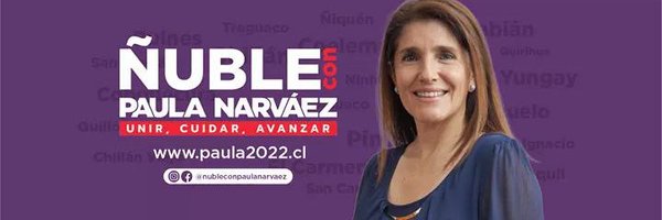 Ñuble con Paula Narváez Profile Banner