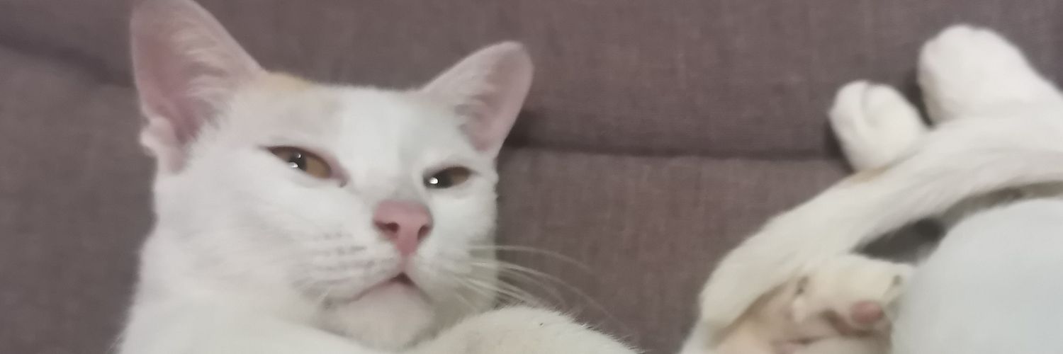 ปัณ (Pun)​ banner