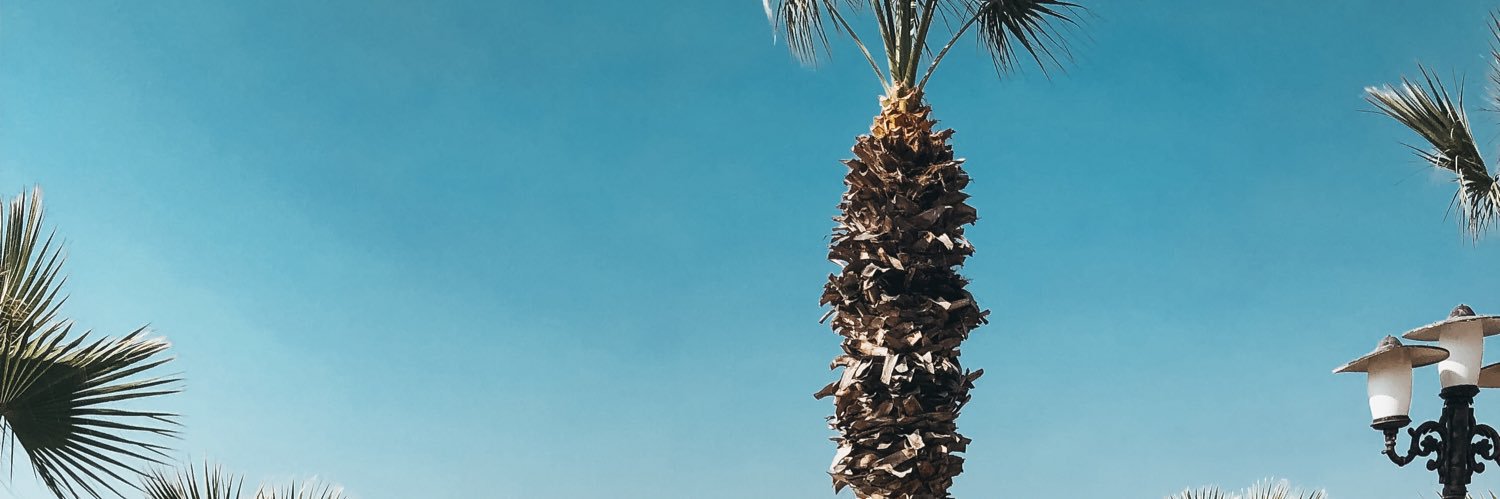 rsxo_x's profile banner image