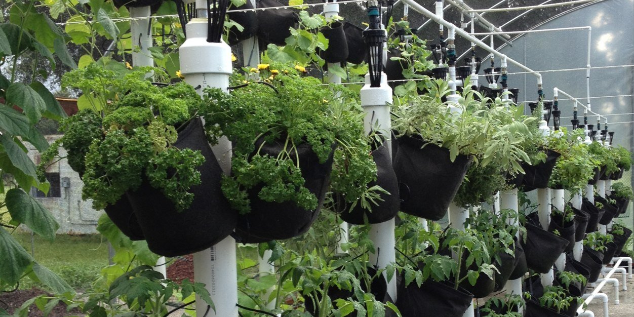 SSOComposter's profile banner image