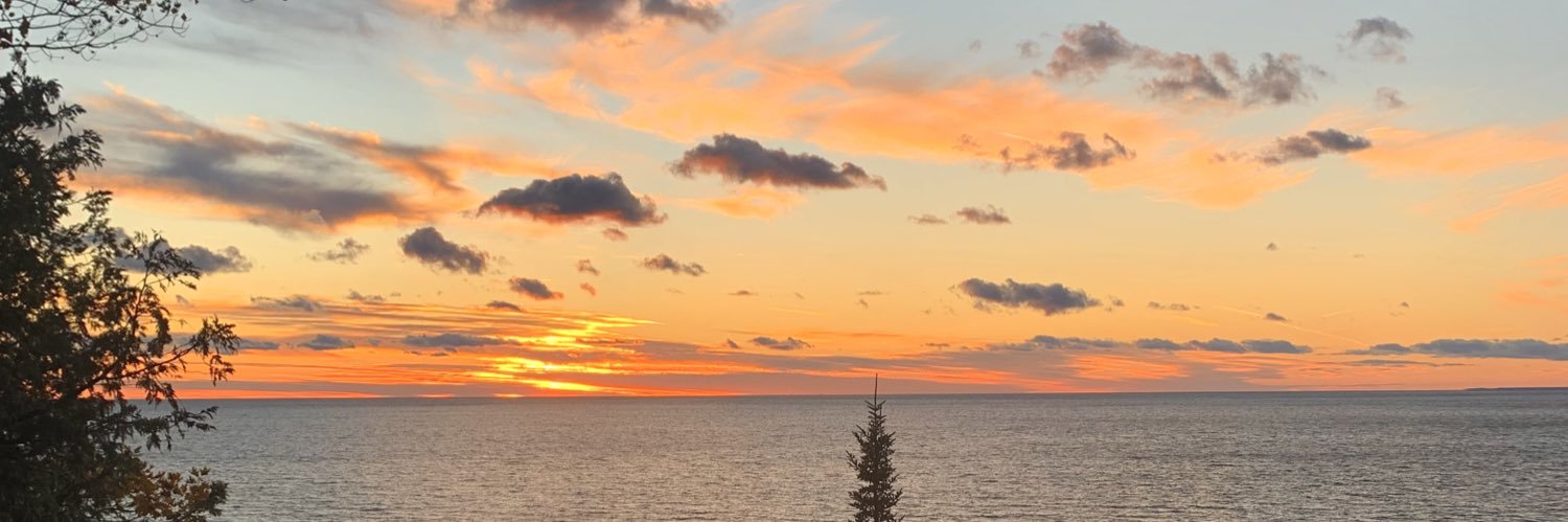 MollyEngelman's profile banner image