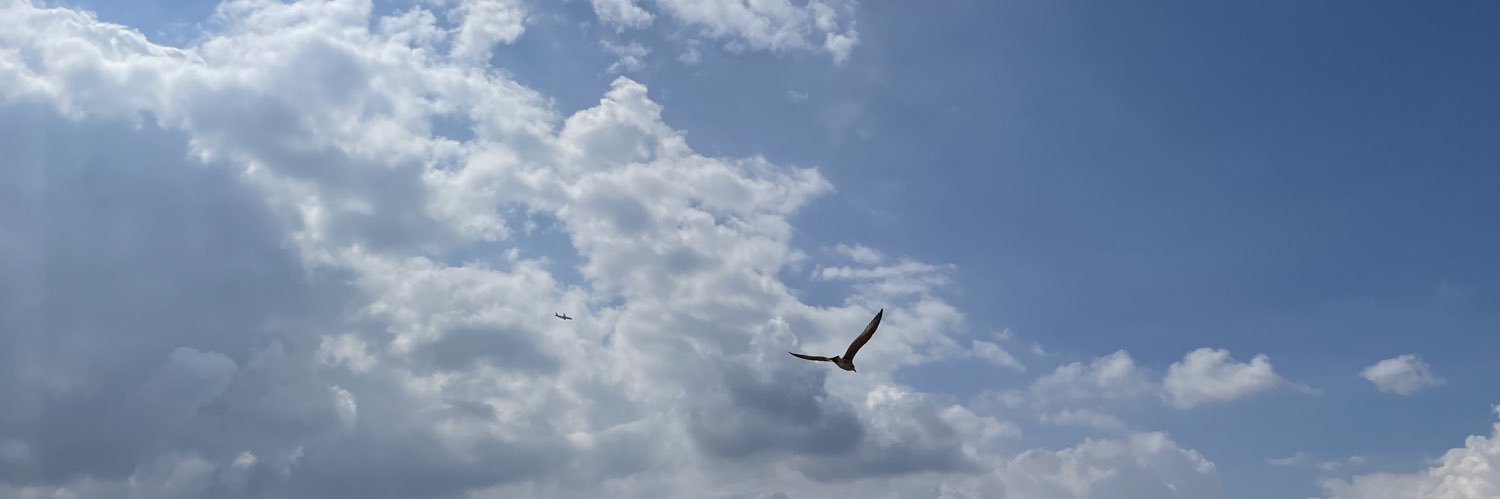 نوف التويجري banner