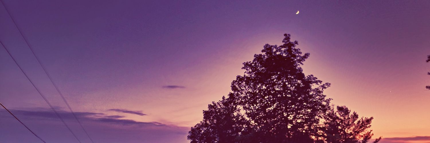 GypsyErotic's profile banner image