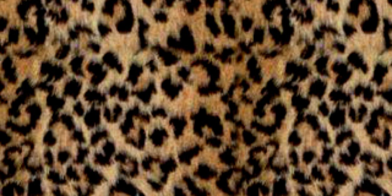 NinaaaBay_'s profile banner image