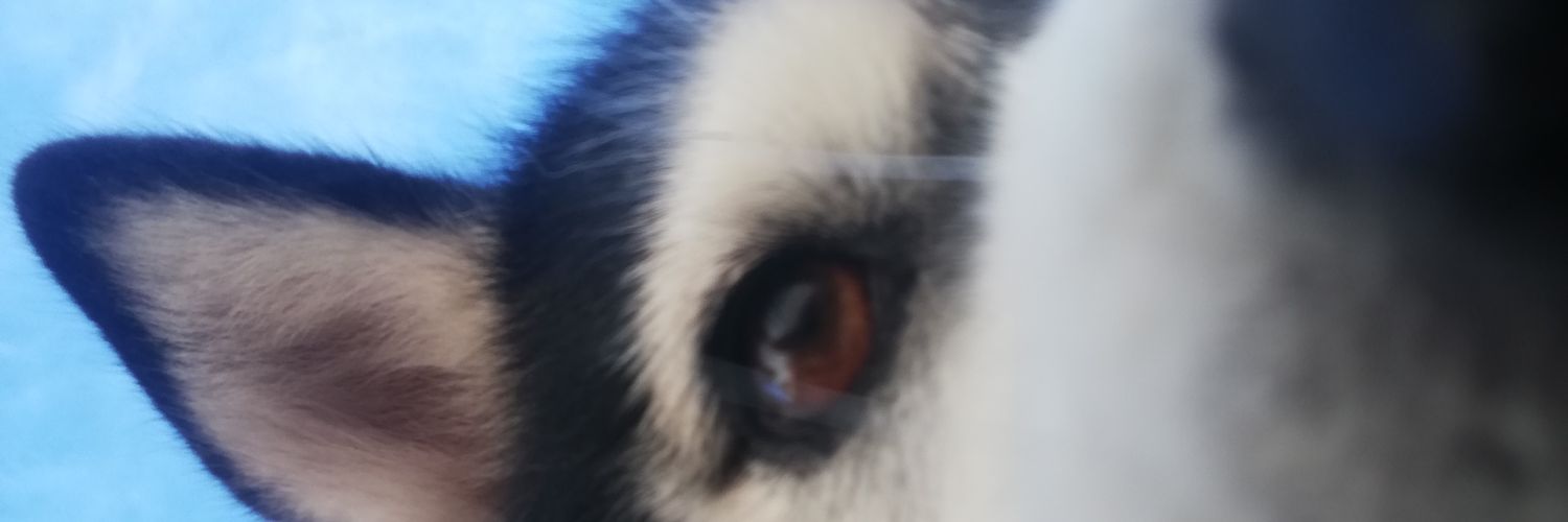 JenDayannara's profile banner image