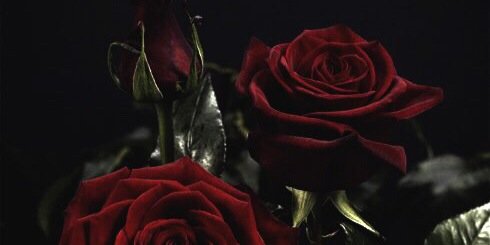 mellieeb's profile banner image