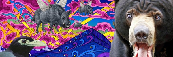 AlcidFlashbacks Profile Banner