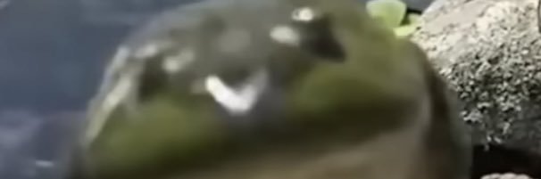 CollinSturgell's profile banner image