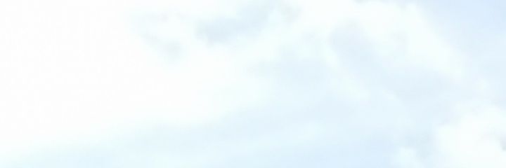 柊 banner