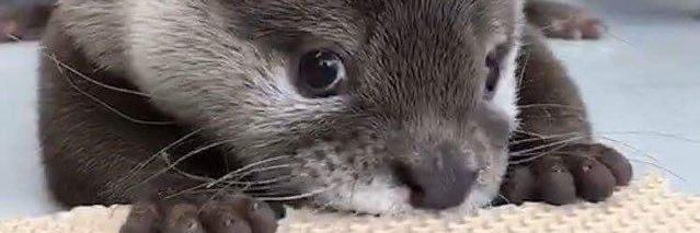 mafer.🧚🏼‍♀️ banner