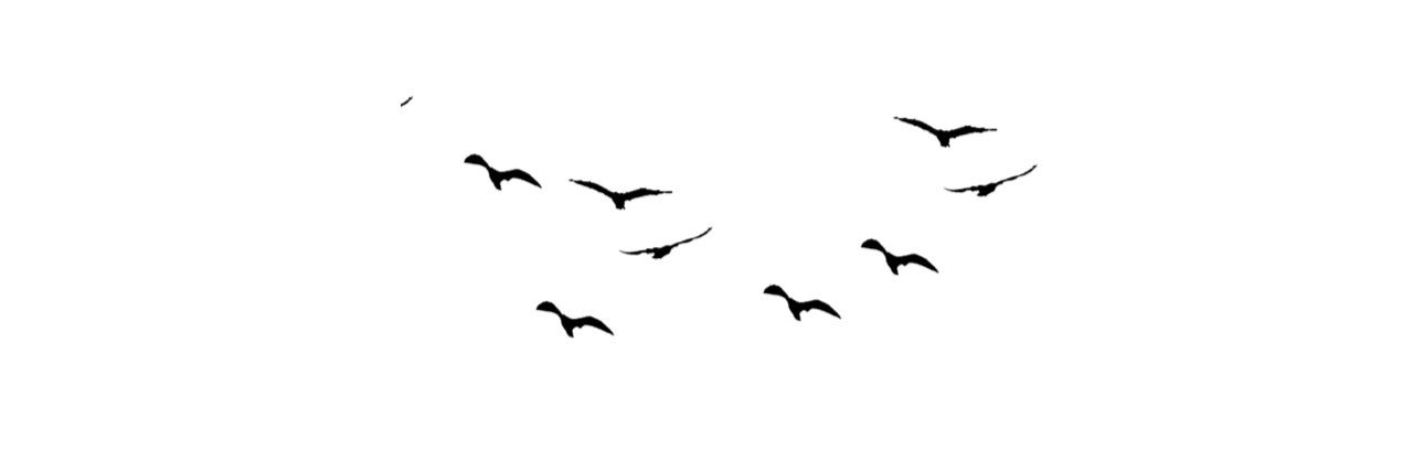 Fly__KM's profile banner image
