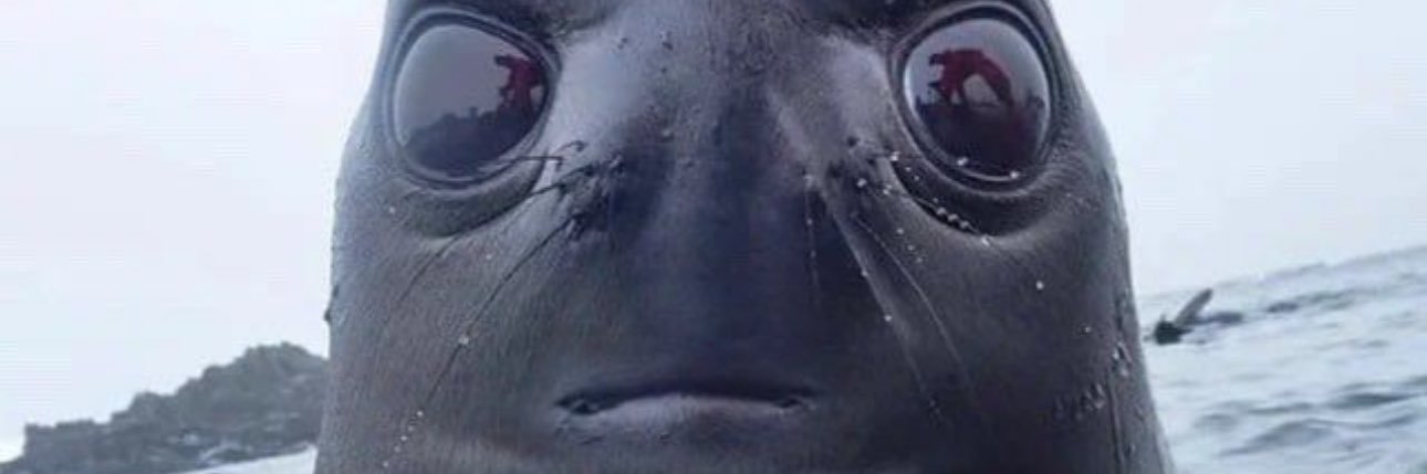 Conall Helverson banner