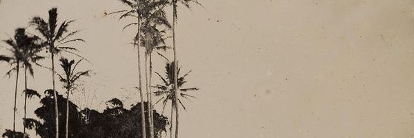 𔓘 banner