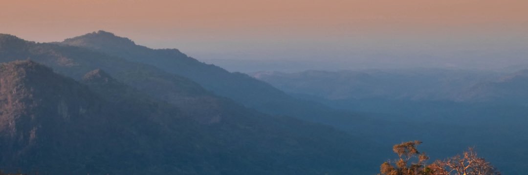 Shilpa Pulapaka banner