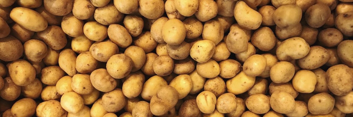 The Potato banner