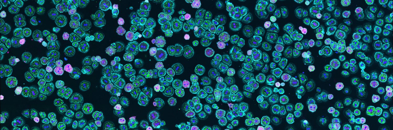 Macleod Lab - University of Chicago banner