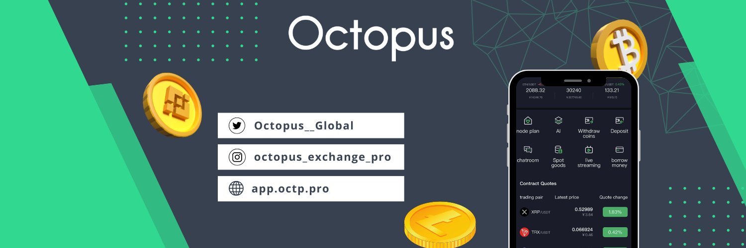 Octopus__Global's profile banner image