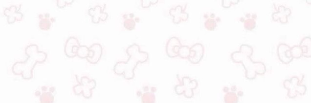 DarlingKermity's profile banner image