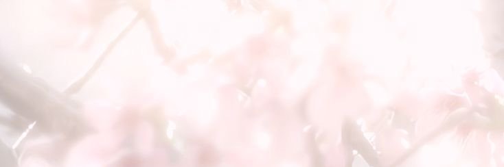 ysa🎐 SAW BLACKPINK! banner