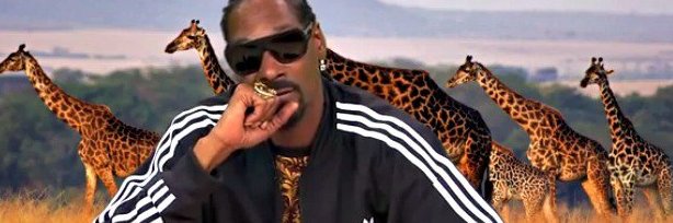 bigoldingus94's profile banner image