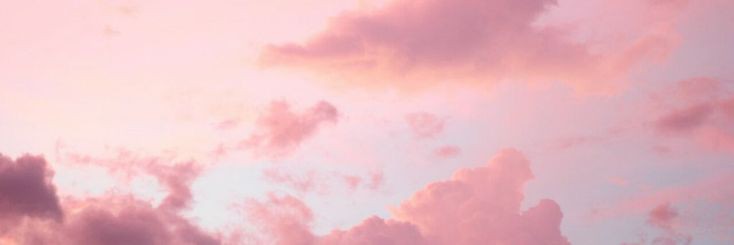 zysolinap_'s profile banner image