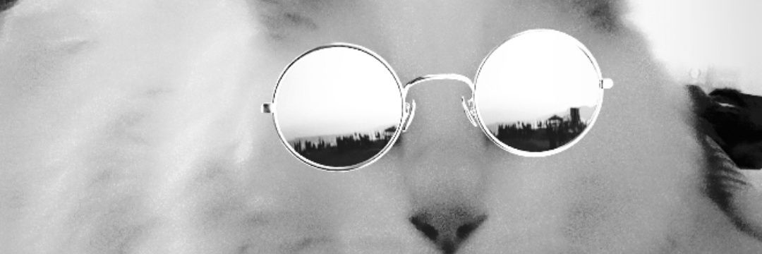 Raquel_Ju1's profile banner image