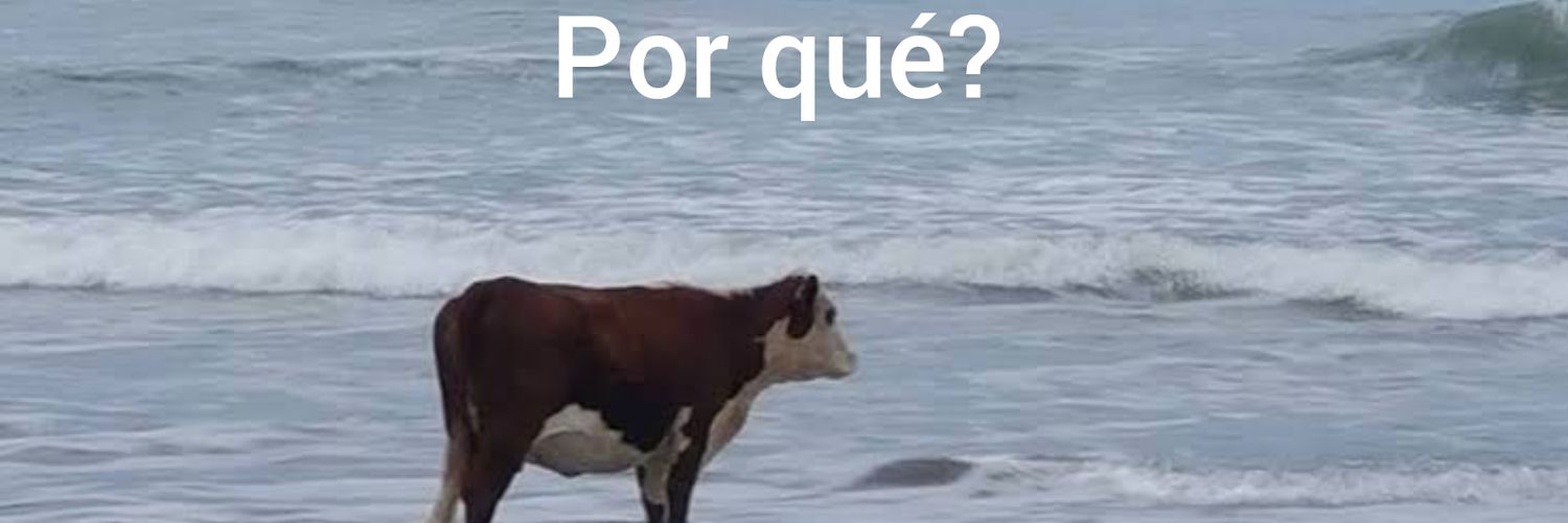 Saúl No Tan Buen Hombre banner