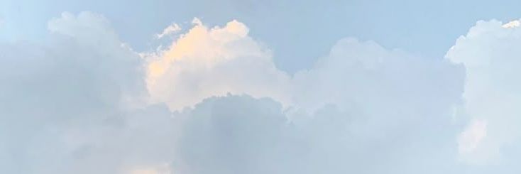 ✧ banner