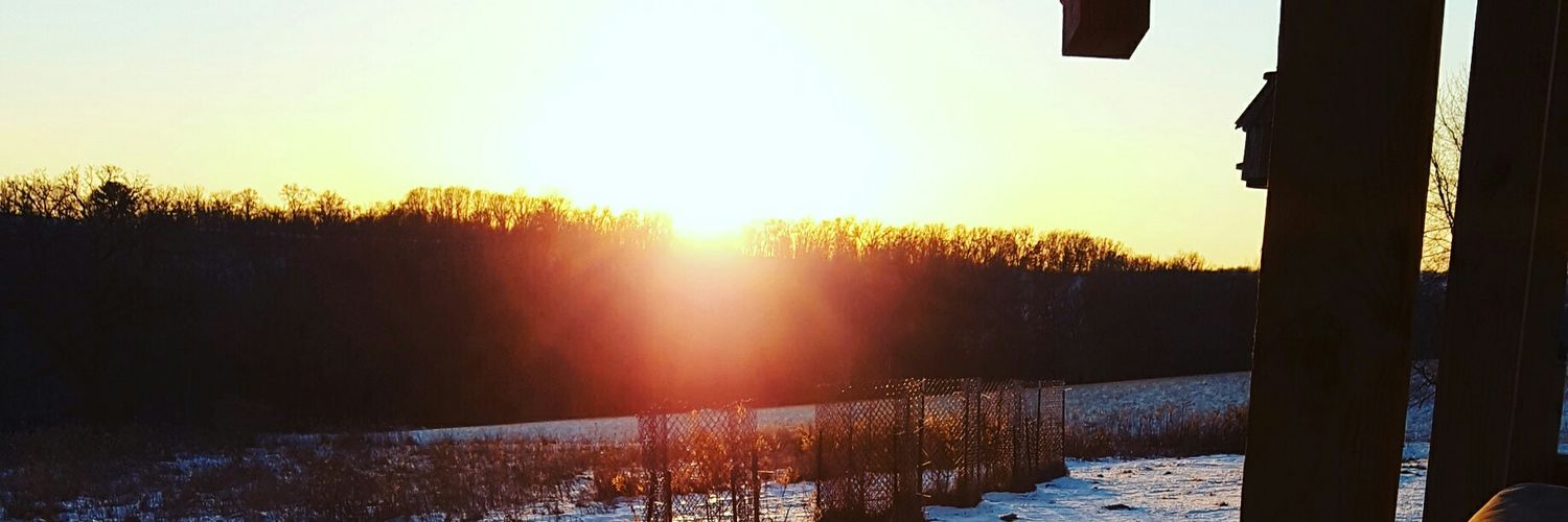 mschmitzy13's profile banner image