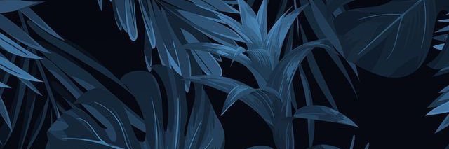 fatimaaaai's profile banner image