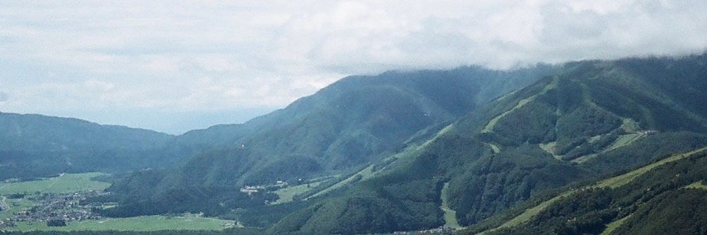 suwaoki's profile banner image