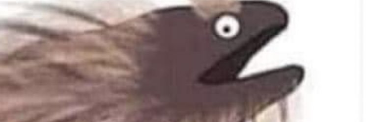 DasGreenhalgh's profile banner image