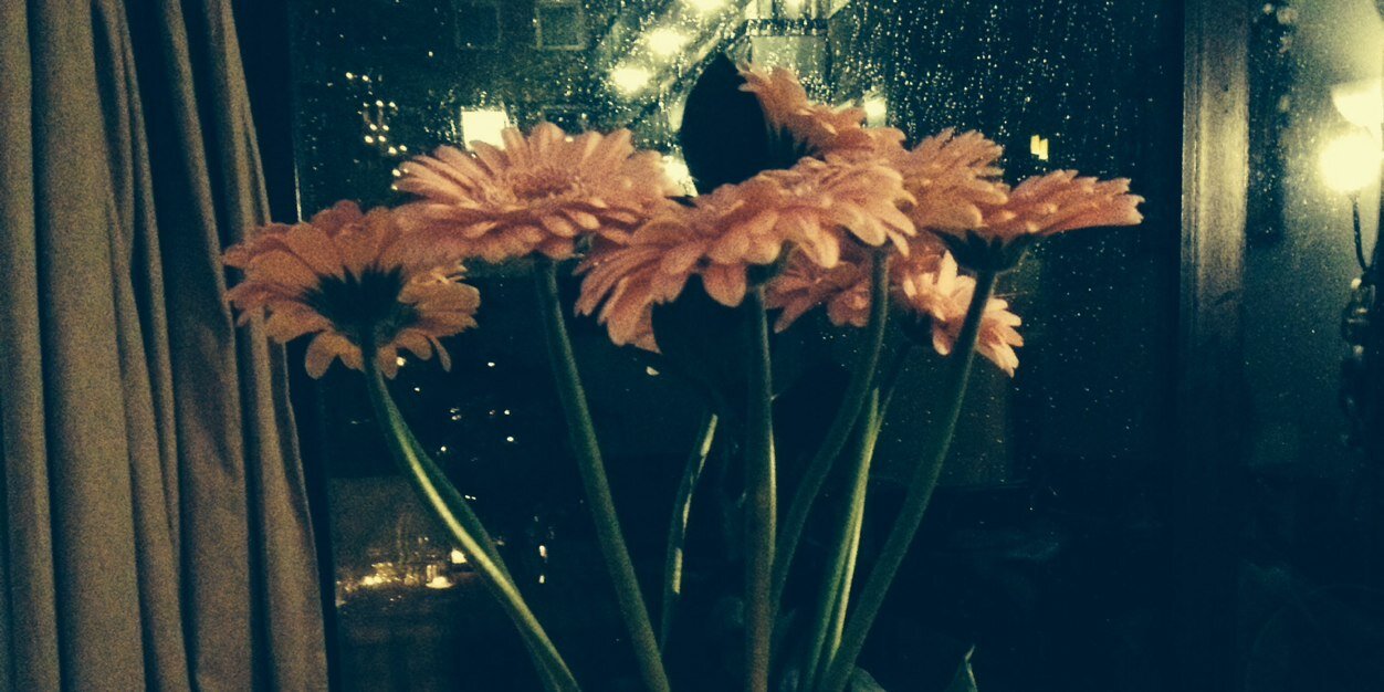 Jennifer O'Sullivan banner