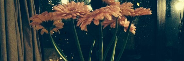 jm_osullivan Profile Banner