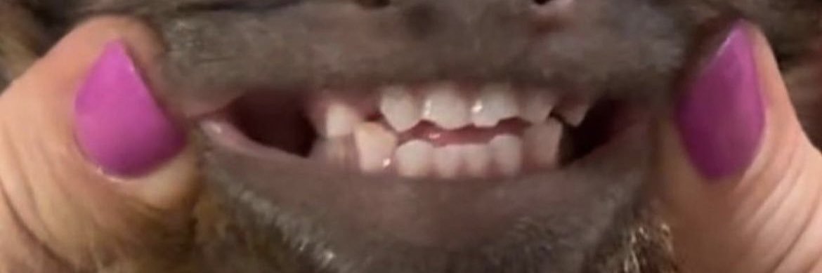 gabrielteixei's profile banner image