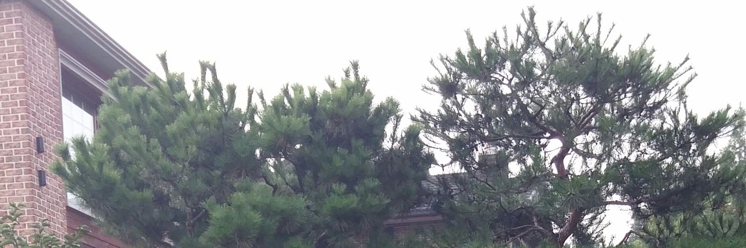 ans3131's profile banner image