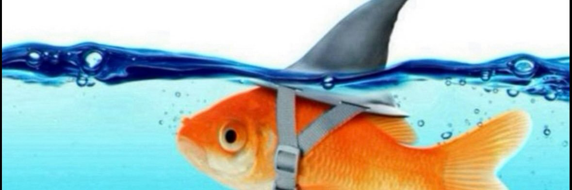 godtier's profile banner image