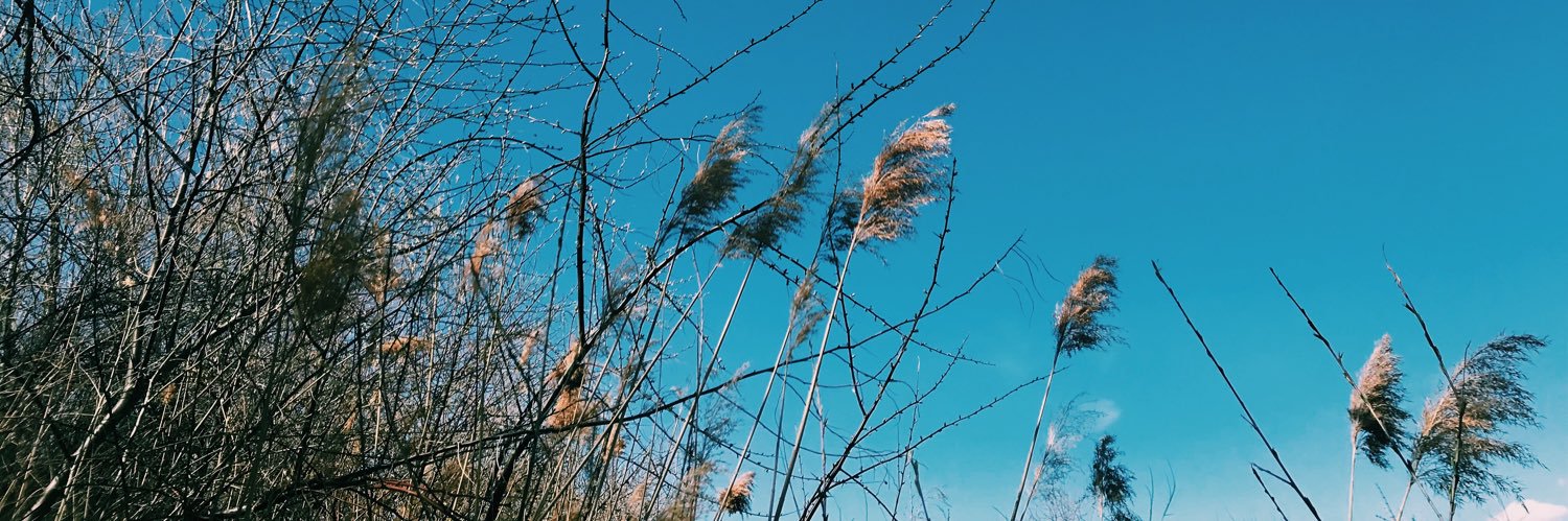 TaylorReneeLuth's profile banner image