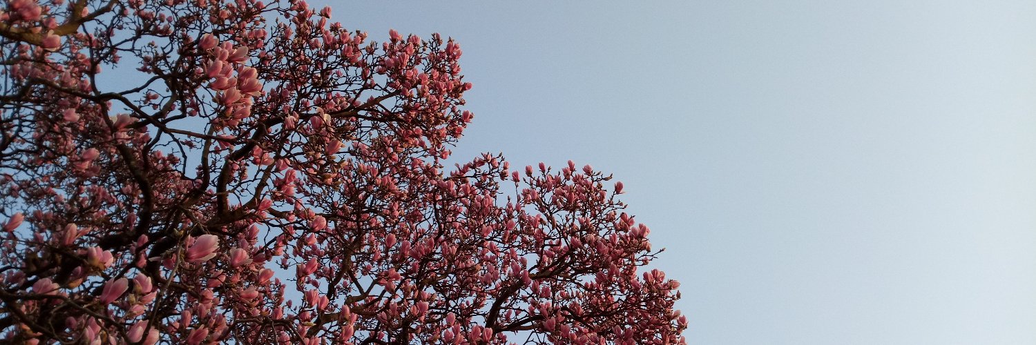 studingrainbows's profile banner image