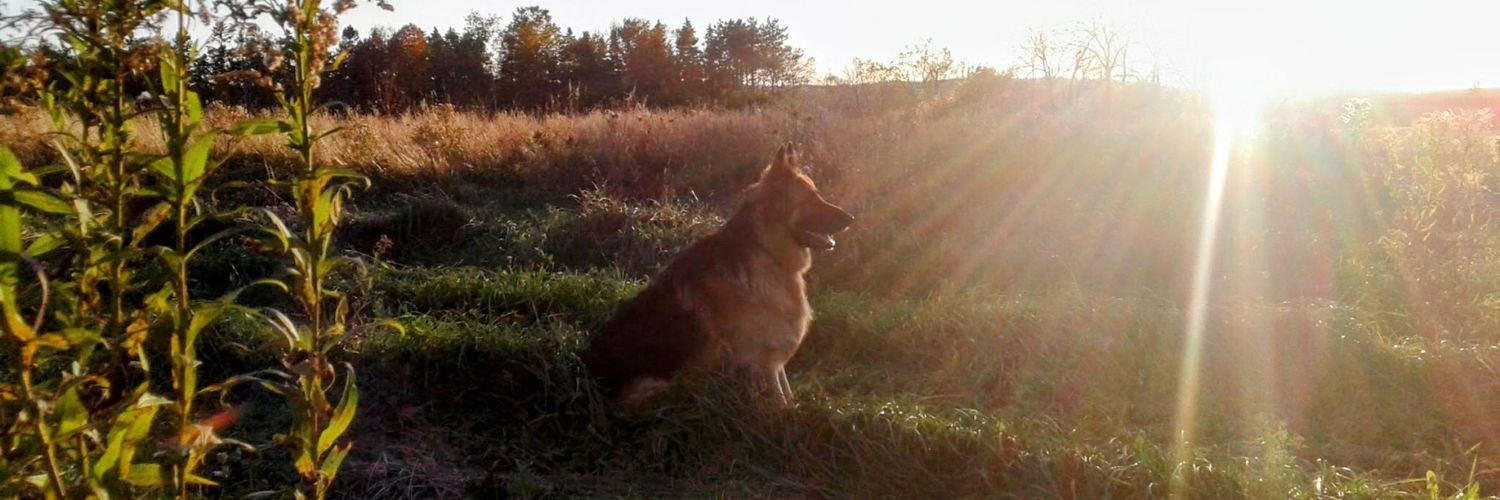 staceywight's profile banner image