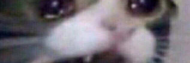 MaxLedeba's profile banner image
