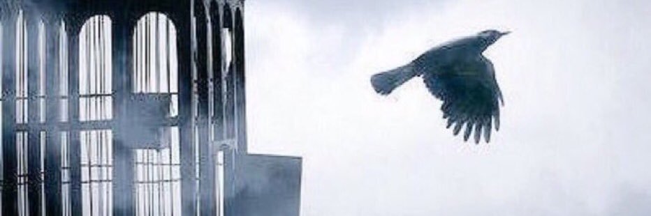 93xsh's profile banner image