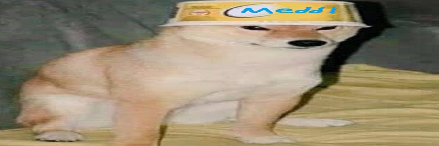 Ecchiha Madara banner