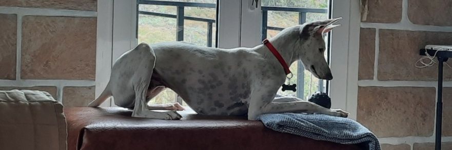 ☆Maria~ 🇮🇨♡🇪🇸 banner